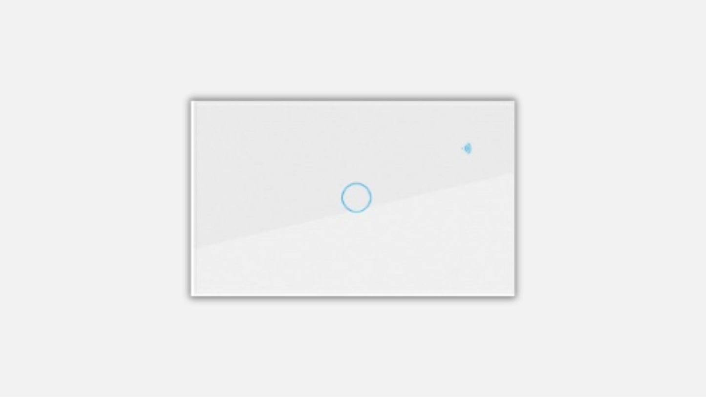 Single Gang Light Switch