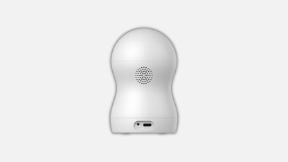 Home Guard Camera