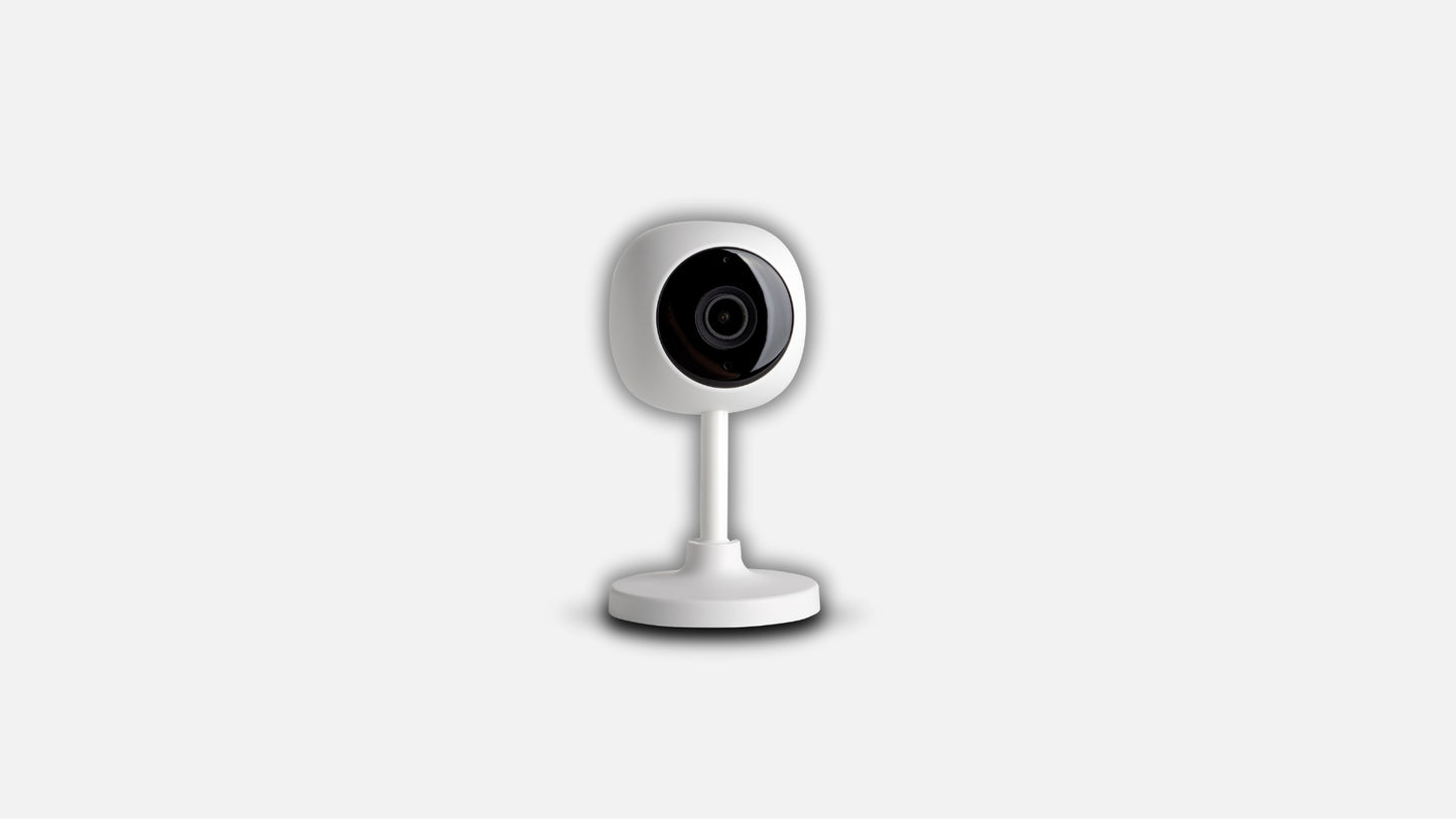 Standing Camera