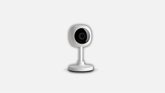 Standing Camera