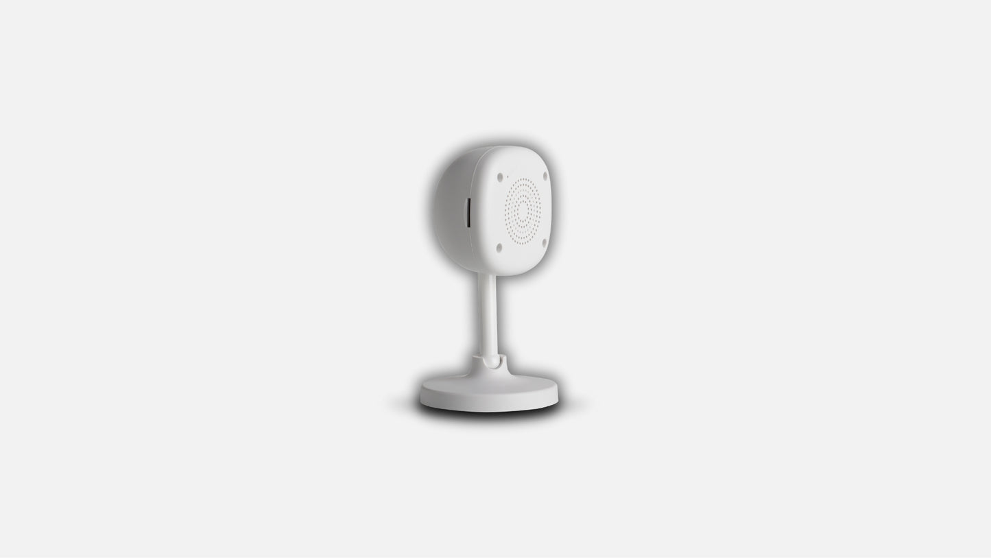 Standing Camera