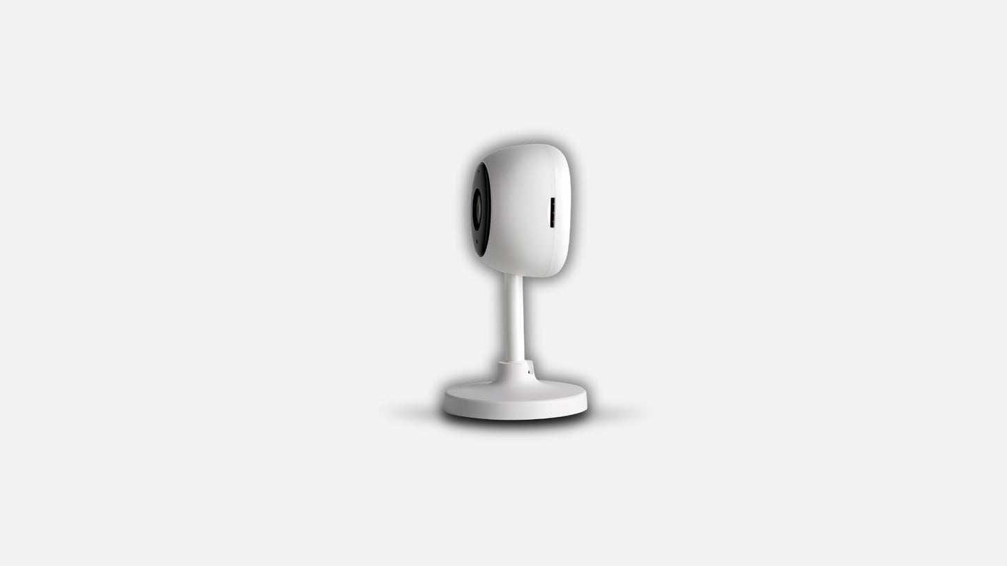 Standing Camera