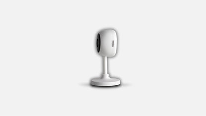 Standing Camera