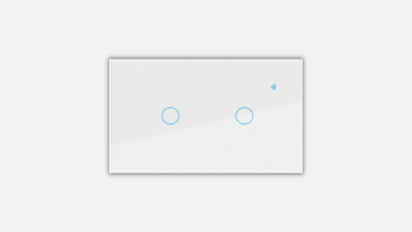 Double Gang Light Switch